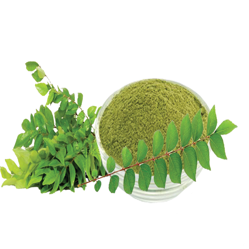 Curry leaves powder